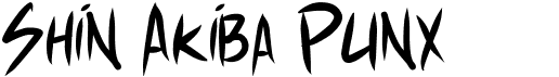 preview image of the Shin Akiba Punx font
