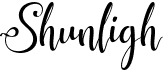 preview image of the Shunligh font