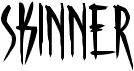 preview image of the Skinner AOE font