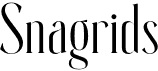 preview image of the Snagrids font