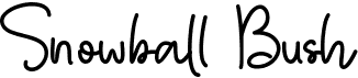preview image of the Snowball Bush font