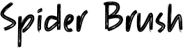 preview image of the Spider Brush font