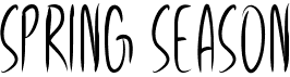 preview image of the Spring Season font