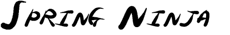 preview image of the Spring Ninja font