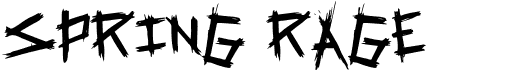 preview image of the Spring Rage font