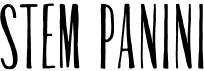 preview image of the Stem Panini font