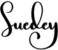 preview image of the Suedey font