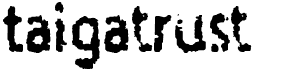 preview image of the Taigatrust font