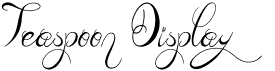 preview image of the Teaspoon Display font