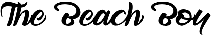 preview image of the The Beach Boy font