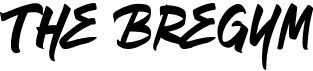 preview image of the The Bregym font