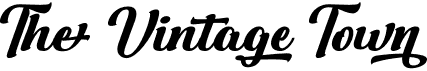 preview image of the The Vintage Town font