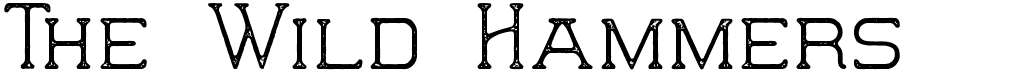 preview image of the The Wild Hammers font
