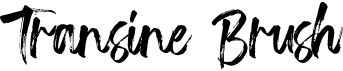 preview image of the Transine Brush font