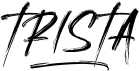 preview image of the Trista font