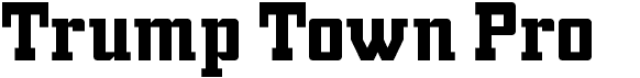preview image of the Trump Town Pro font