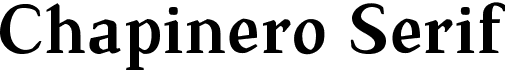 preview image of the TS Chapinero Serif font