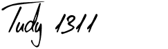 preview image of the Tudy 1311 font