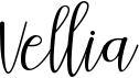 preview image of the Vellia font
