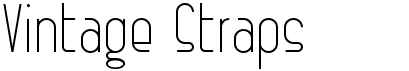 preview image of the Vintage Straps font
