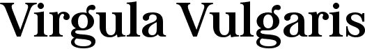 preview image of the Virgula Vulgaris font