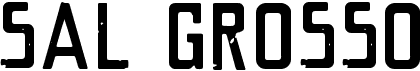 preview image of the VTKS Sal Grosso font