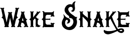 preview image of the Wake Snake font