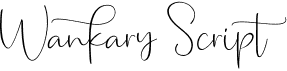 preview image of the Wankary Script font