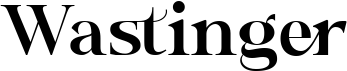 preview image of the Wastinger Display font