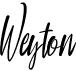 preview image of the Weyton font