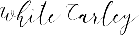 preview image of the White Carley font