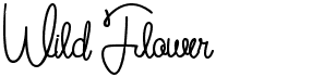 preview image of the Wild Flower font