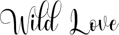 preview image of the Wild Love font