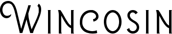 preview image of the Wincosin font