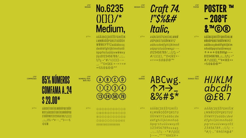 Slide 3
