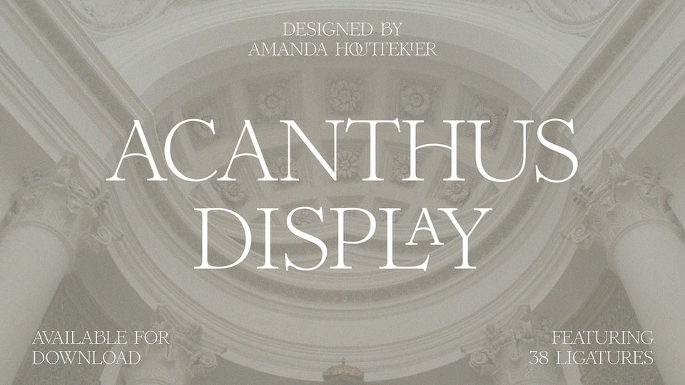 Acanthus Display